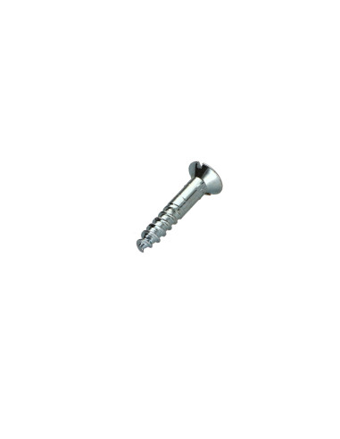 1 x Tornillo madera Acero bruto 4.5X25...