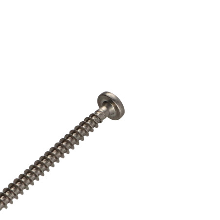 1 x Tornillo madera aglomerado Inoxidable A2 cabeza redonda Pozi 5X100