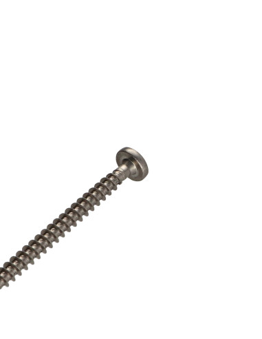 1 x Tornillo madera aglomerado Inoxidable A2...
