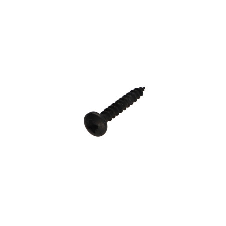 1 x Tornillo madera aglomerado Inoxidable A2 Negro cabeza redonda Pozi 4X25