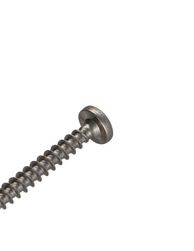 1 x Tornillo madera aglomerado Inoxidable A2...