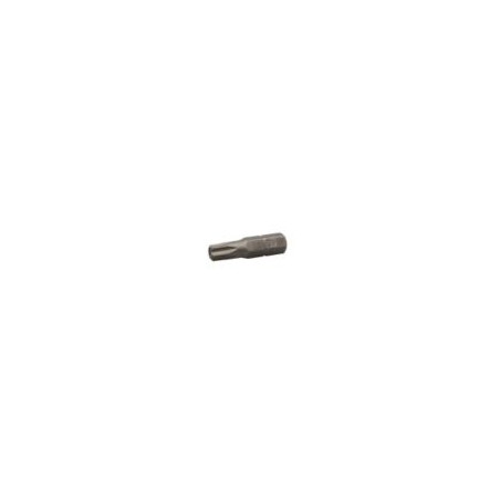 1 x Punta Calidad industrial 1/4" C6.3 TORX T25 longitud 25