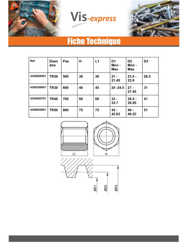 1 x Tuerca hexagonal SKM cabeza redonda 10X3...