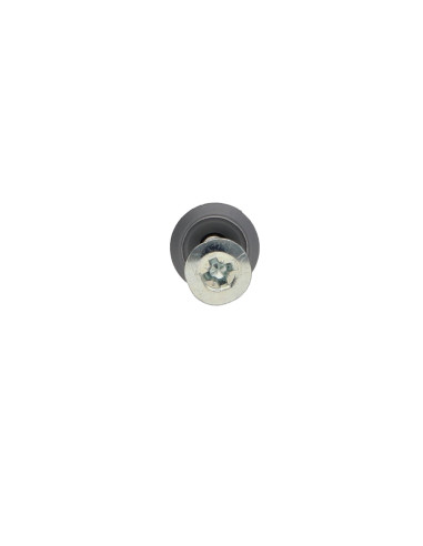 1 x Taco Clavo Tornillos RAWLPLUG cabeza plana...