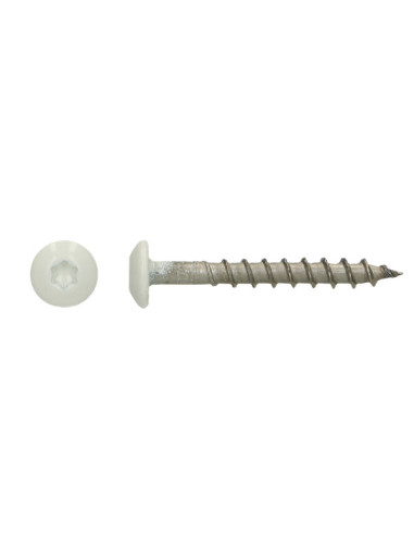 1 x Tornillo pernio 4.5X35 TORX T20 Inoxidable...