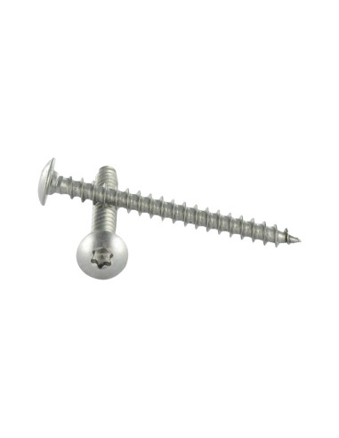 1 x Tornillo pernio 7X50 TORX T30 Inoxidable A4