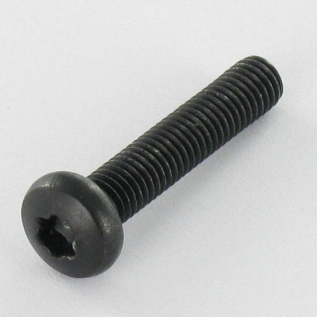 1 x Tornillo metales cabeza abovedada ancha Inoxidable A2 M5X25 Negro TORX T20