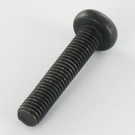 1 x Tornillo metales cabeza abovedada ancha Inoxidable A2 M5X25 Negro TORX T20