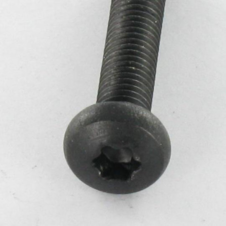 1 x Tornillo metales cabeza abovedada ancha Inoxidable A2 M5X25 Negro TORX T20