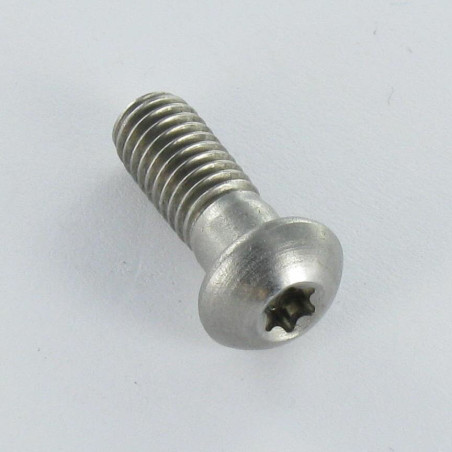 1 x Tornillo metales cabeza cilíndrica abombada Inoxidable A2 M6X16 diámetro de cabeza: 10.3 TORX T20
