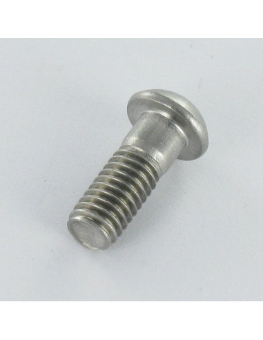 1 x Tornillo metales cabeza cilíndrica abombada...