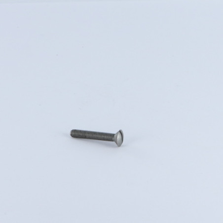 1 x Tornillo metales cabeza fresada abombada ranura M2.5X12 Acero bruto microtornillo