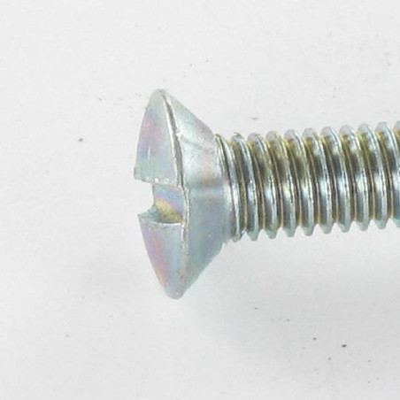 1 x Tornillo metales cabeza fresada abombada ranura M4X38 diámetro de cabeza: 7.5 Acero cincado blanco