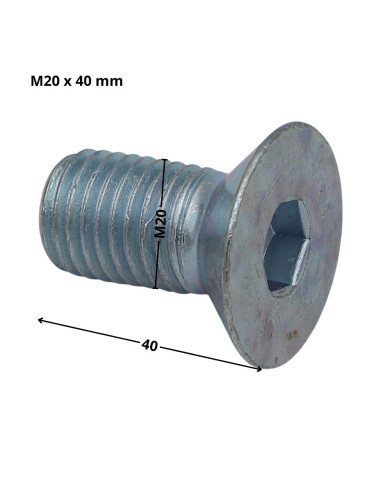 1 x Tornillo metales FHC cabeza fresada cavidad...