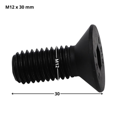 1 x Tornillo metales FHC cabeza fresada cavidad hexagonal hueca llave de 8 M12X30 roscado total clase 10.9 Acero bruto