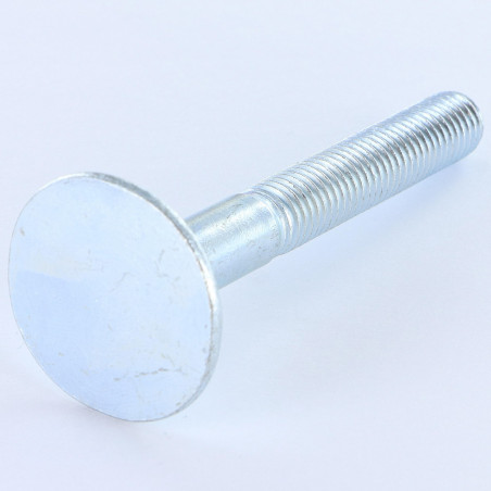1 x Tornillos PISO cabeza fresada/testa svasat Ancha 10X80 4 ERGIO Zincado cr3 96 hbs sin óxido rojo