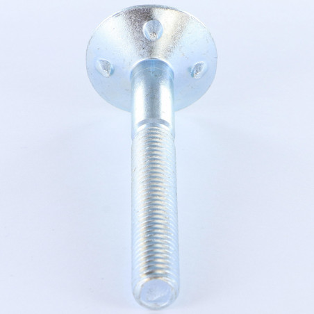 1 x Tornillos PISO cabeza fresada/testa svasat Ancha 10X80 4 ERGIO Zincado cr3 96 hbs sin óxido rojo