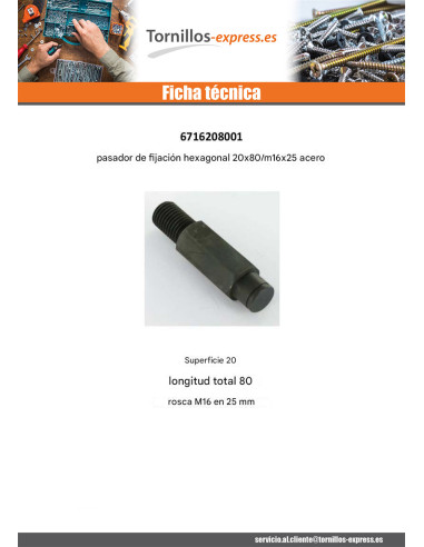 1 x PUNTILLA Fijación hexagonal 20X80 roscado...