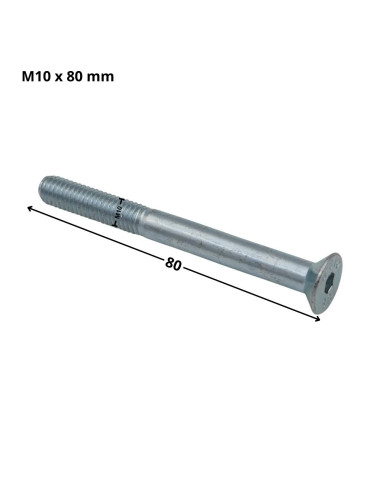 1 x Tornillo metales FHC cabeza fresada cavidad...