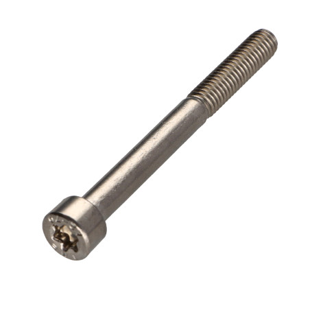 1 x Tornillo metales cabeza cilíndrica TORX T30 Inoxidable A2 M6X60 roscado en 24