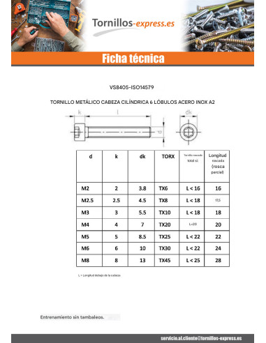 1 x Tornillo metales cabeza cilíndrica TORX T10...