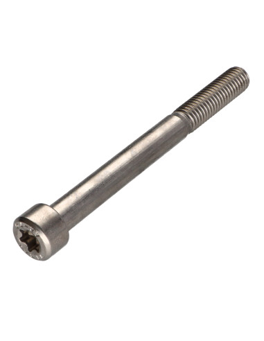 1 x Tornillo metales cabeza cilíndrica TORX T50...