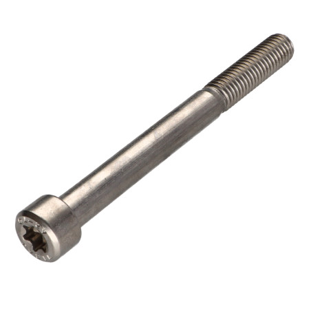 1 x Tornillo metales cabeza cilíndrica TORX T50 Inoxidable A2 M10X100 roscado en 32