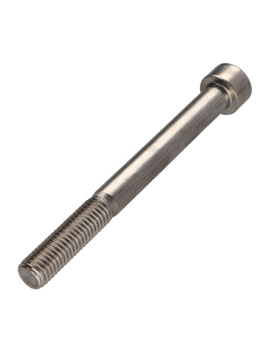 1 x Tornillo metales cabeza cilíndrica TORX T50...
