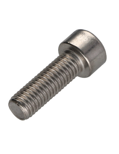 1 x Tornillo metales cabeza cilíndrica TORX T50...