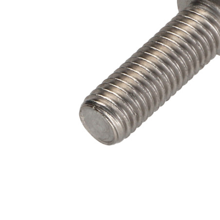 1 x Tornillo metales cabeza cilíndrica TORX T50 Inoxidable A2 M10X30 roscado total