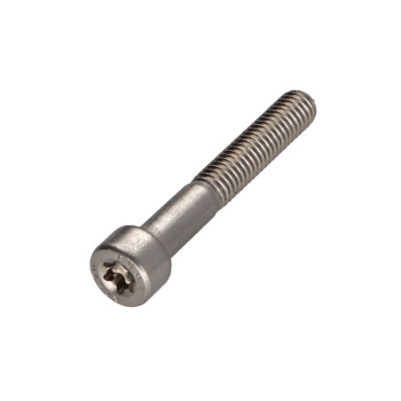 1 x Tornillo metales cabeza cilíndrica TORX T30 Inoxidable A2 M6X40 roscado en 24