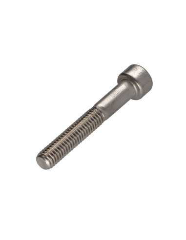 1 x Tornillo metales cabeza cilíndrica TORX T45...