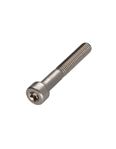 1 x Tornillo metales cabeza cilíndrica TORX T25...