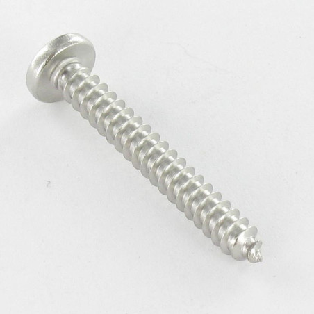 1 x Tornillo chapa cabeza abovedada ancha Pozi 5.5X16 Inoxidable A4