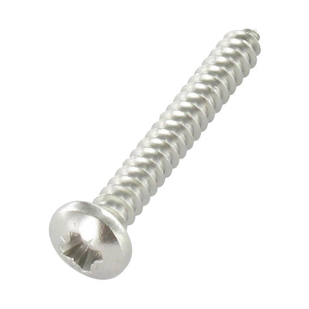 1 x Tornillo chapa cabeza abovedada ancha Pozi 5.5X50 Inoxidable A4