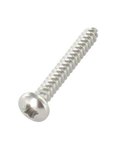 1 x Tornillo chapa cabeza abovedada ancha Pozi...