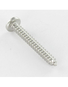 Tornillo chapa cabeza abovedada ancha Pozi 2,9 x 9,5... 2