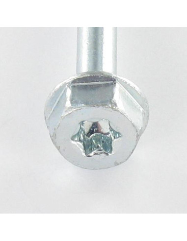 1 x Tornillo para marcos TEKOR cabeza hexagonal...