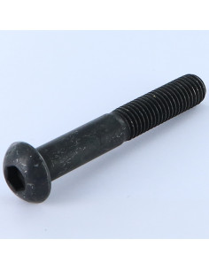 Tornillo metales Cabeza Abombada con Hueco hexagonal...