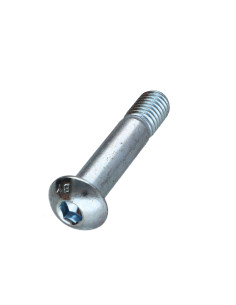 Tornillo metales Cabeza Abombada con Hueco hexagonal...