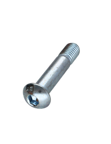 1 x Tornillo metales Cabeza Abombada con Hueco...