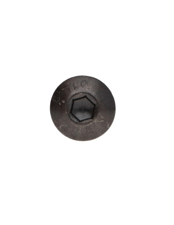 1 x Tornillo metales Cabeza Abombada con Hueco...