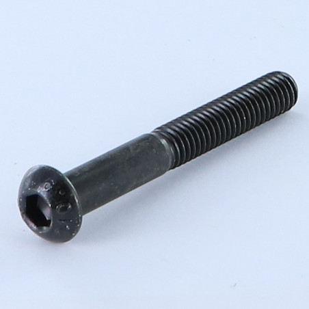 1 x Tornillo metales Cabeza Abombada con Hueco hexagonal M6X45 roscado parcial clase 10.9 llave de 4 Acero cincado