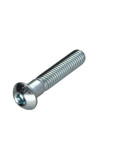 1 x Tornillo metales Cabeza Abombada con Hueco...