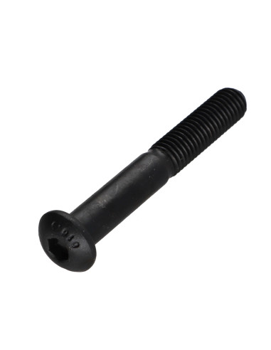 1 x Tornillo metales Cabeza Abombada con Hueco...