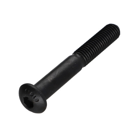 1 x Tornillo metales Cabeza Abombada con Hueco hexagonal M10X70 FP10.9 llave de 6 Acero bruto