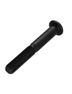 Tornillo metales Cabeza Abombada con Hueco hexagonal... 2