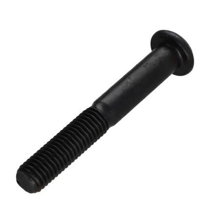 1 x Tornillo metales Cabeza Abombada con Hueco hexagonal M10X70 FP10.9 llave de 6 Acero bruto