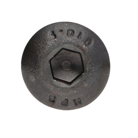 1 x Tornillo metales Cabeza Abombada con Hueco hexagonal M10X70 FP10.9 llave de 6 Acero bruto