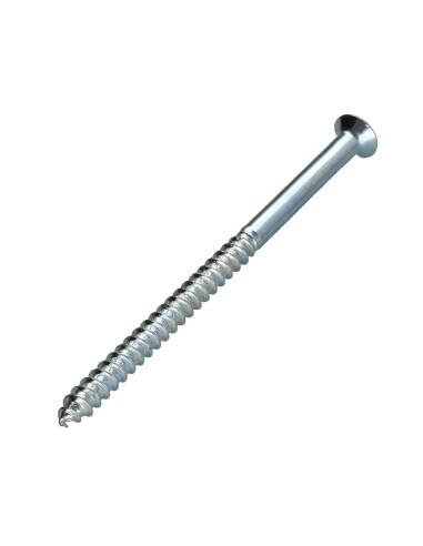 1 x Tornillo madera cabeza fresada/testa svasat...